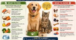 Healthy Diet Tips for Pets: What to Feed and What to Avoid